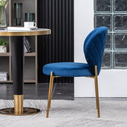Amoa blue velvet dining chair with tufted back and gold metal legs on Tampa Home & Garden Store