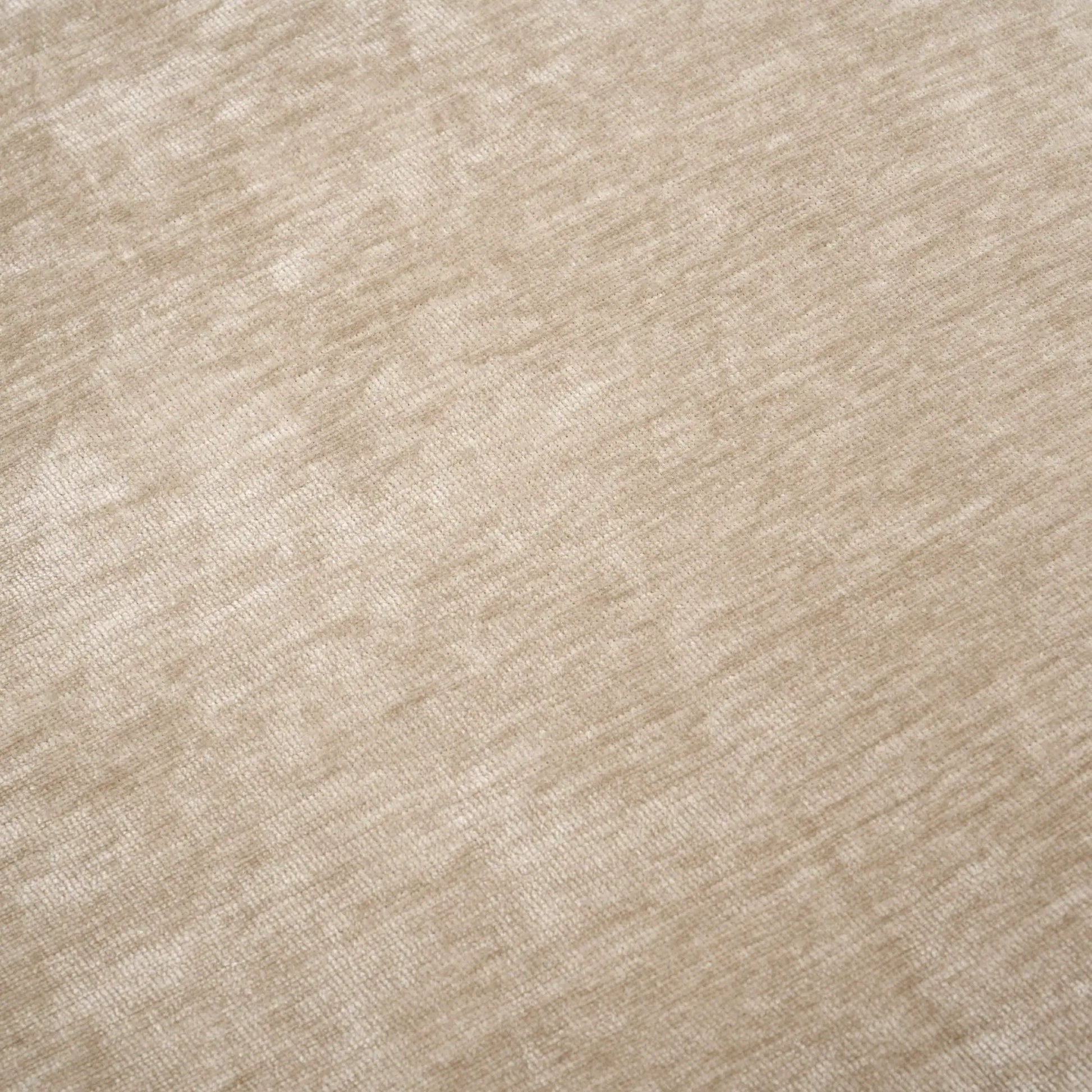Beige carpet fabric texture with woven fibers on Tampa Home & Garden Store