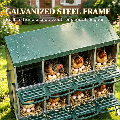 Egg laying boxes in galvanized steel nesting frame with hens and eggs HouseOfZazla on Tampa Home & Garden Store