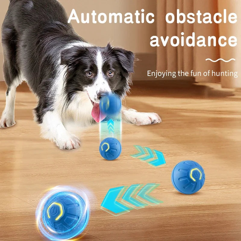 Smart Dog Toy Ball blue USB interactive moving ball for puppies and cats Sell My Stuff on Tampa Home & Garden Store