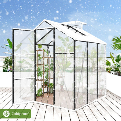 Windproof greenhouse with raised base, black frame and polycarbonate panels HouseOfZazla on Tampa Home & Garden Store