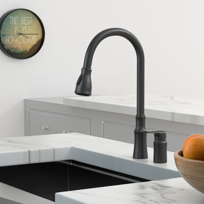 The Modern Matte Black Kitchen Sink Faucet