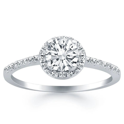Rings: 14k white gold diamond halo engagement ring with pavé band by Bids.com on Tampa Home & Garden Store