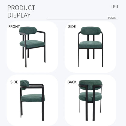 Dining Arm Chairs Set of 2 with Matte Metal Legs