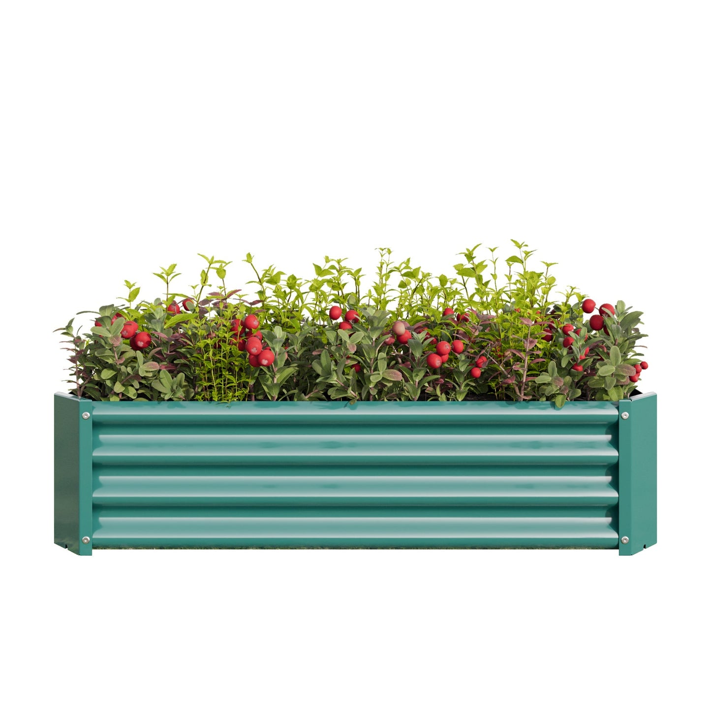Metal raised garden bed rectangle planter 4x2x1 ft teal with leafy green plants and red berries on Tampa Home & Garden Store