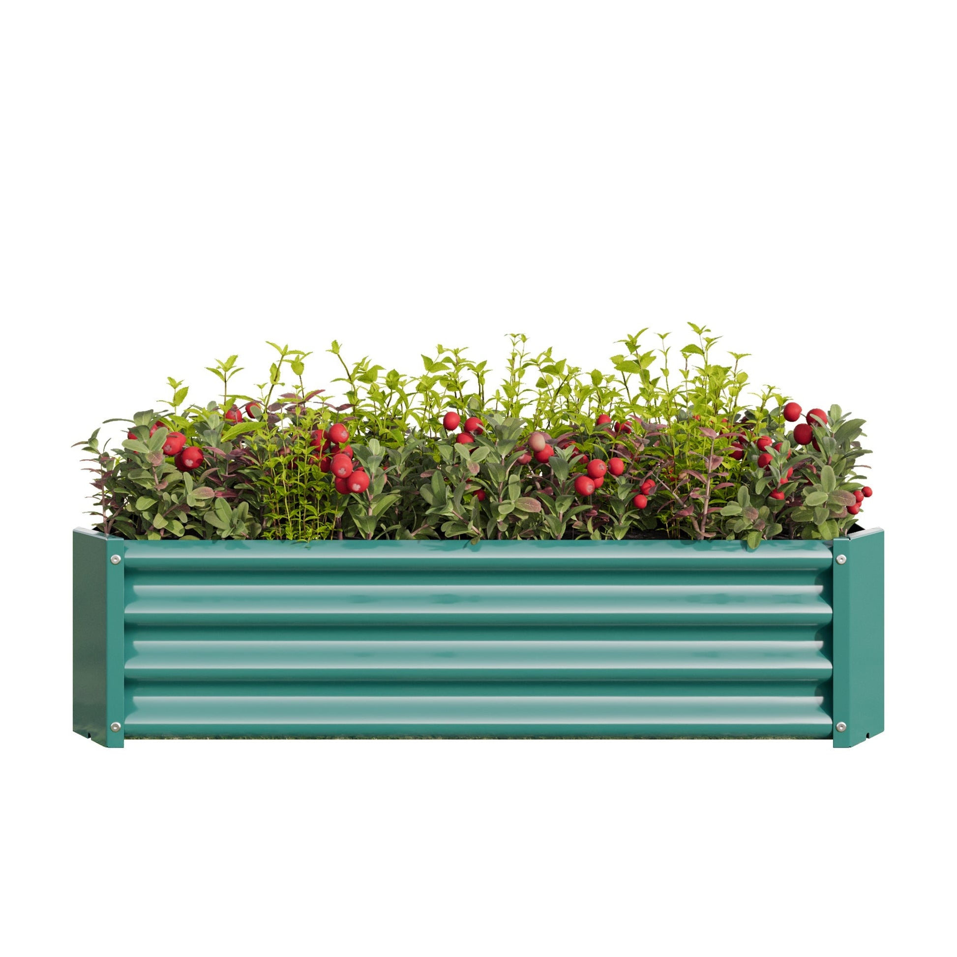 Metal raised garden bed rectangle planter 4x2x1 ft teal with leafy green plants and red berries on Tampa Home & Garden Store