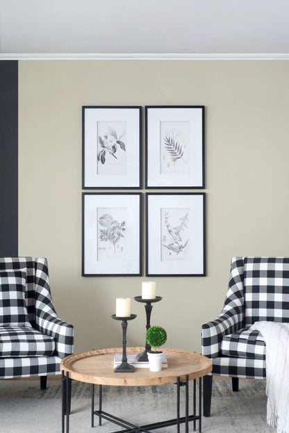 Framed botanical wall art prints set of 4 in black frames with white mats on beige wall on Tampa Home & Garden Store