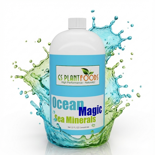 Ocean Magic Sea Minerals fertilizer bottle by GS Plant Foods with blue label on Tampa Home & Garden Store