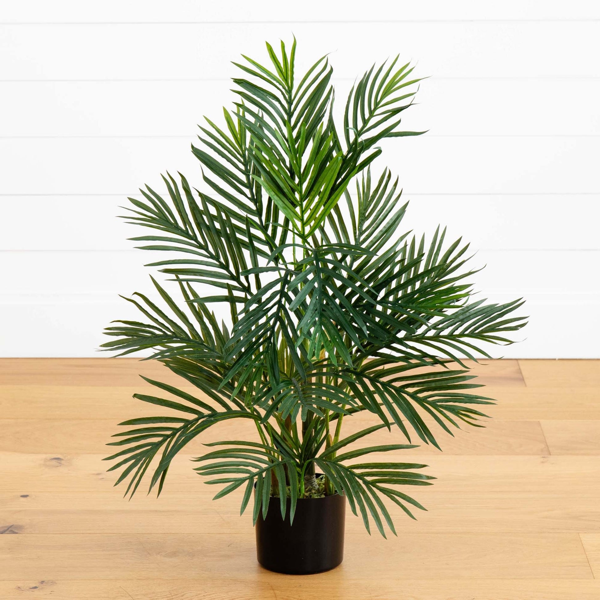 2.5' Areca Palm Tree UV Resistant (Indoor/Outdoor) - Tampa Home & Garden Store