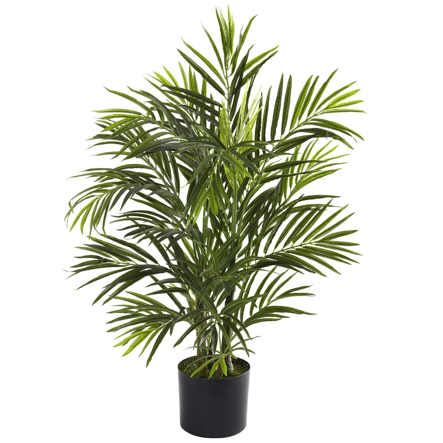 2.5' Areca Palm Tree UV Resistant (Indoor/Outdoor) - Tampa Home & Garden Store