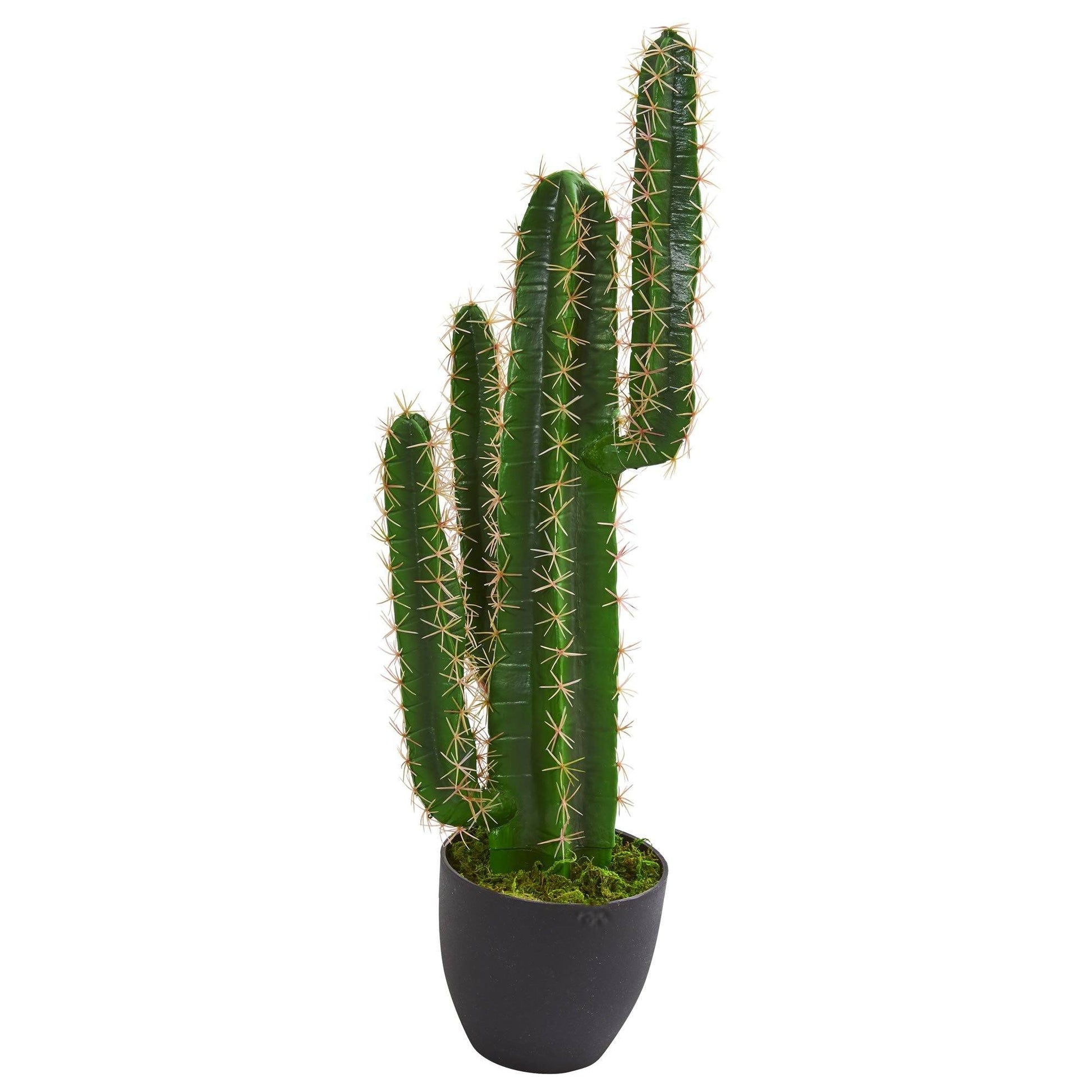 2.5’ Artificial Blue Myrtle Cactus Plant - Tampa Home & Garden Store