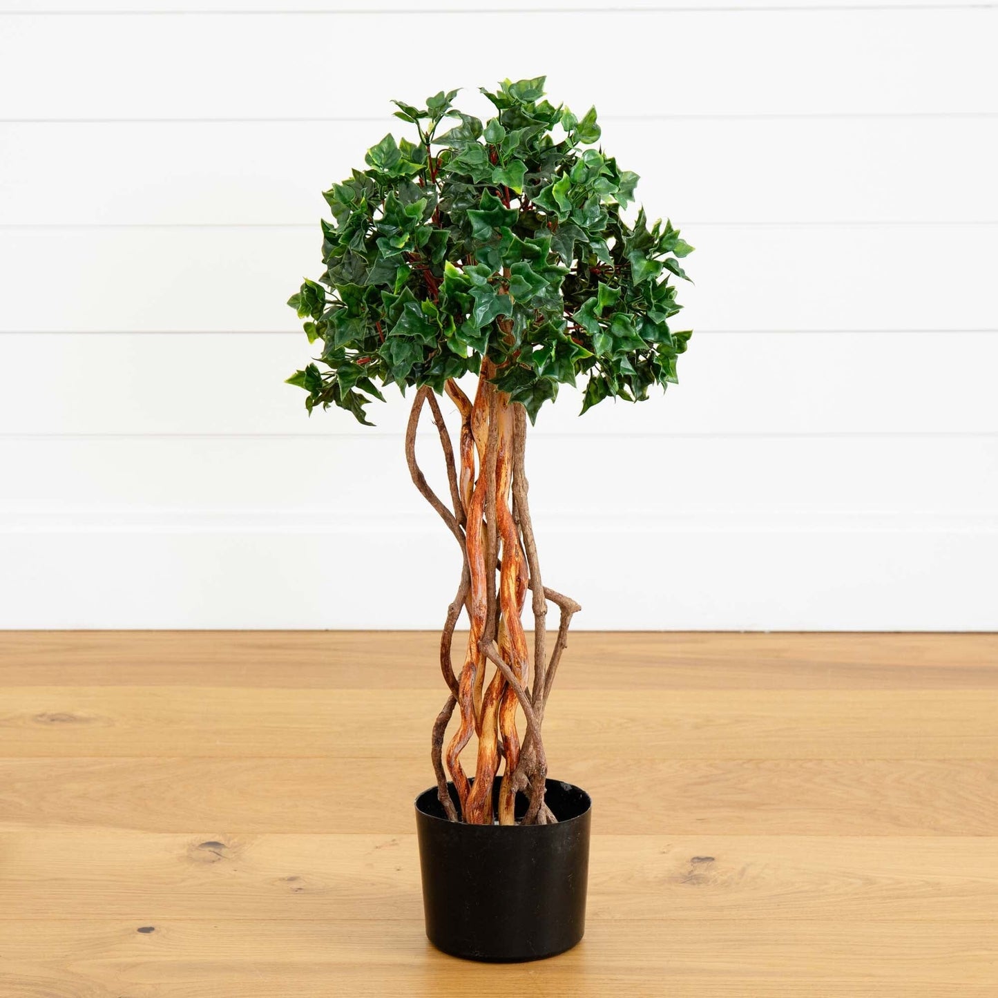 2.5’ English Ivy Topiary UV Resistant (Indoor/Outdoor) - Tampa Home & Garden Store