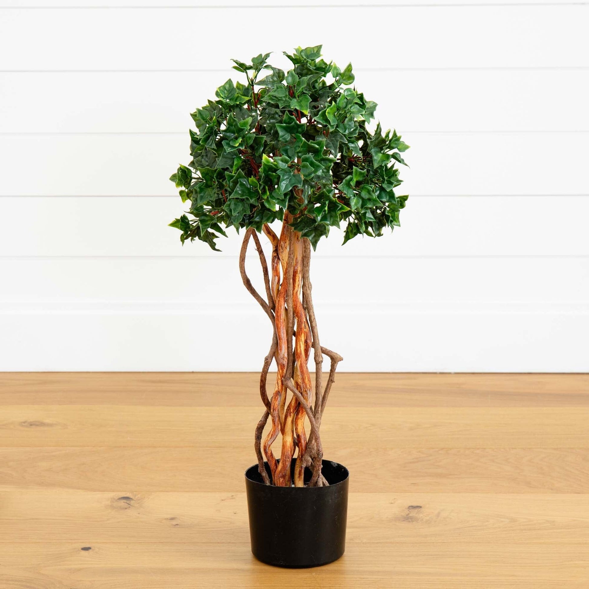 2.5’ English Ivy Topiary UV Resistant (Indoor/Outdoor) - Tampa Home & Garden Store