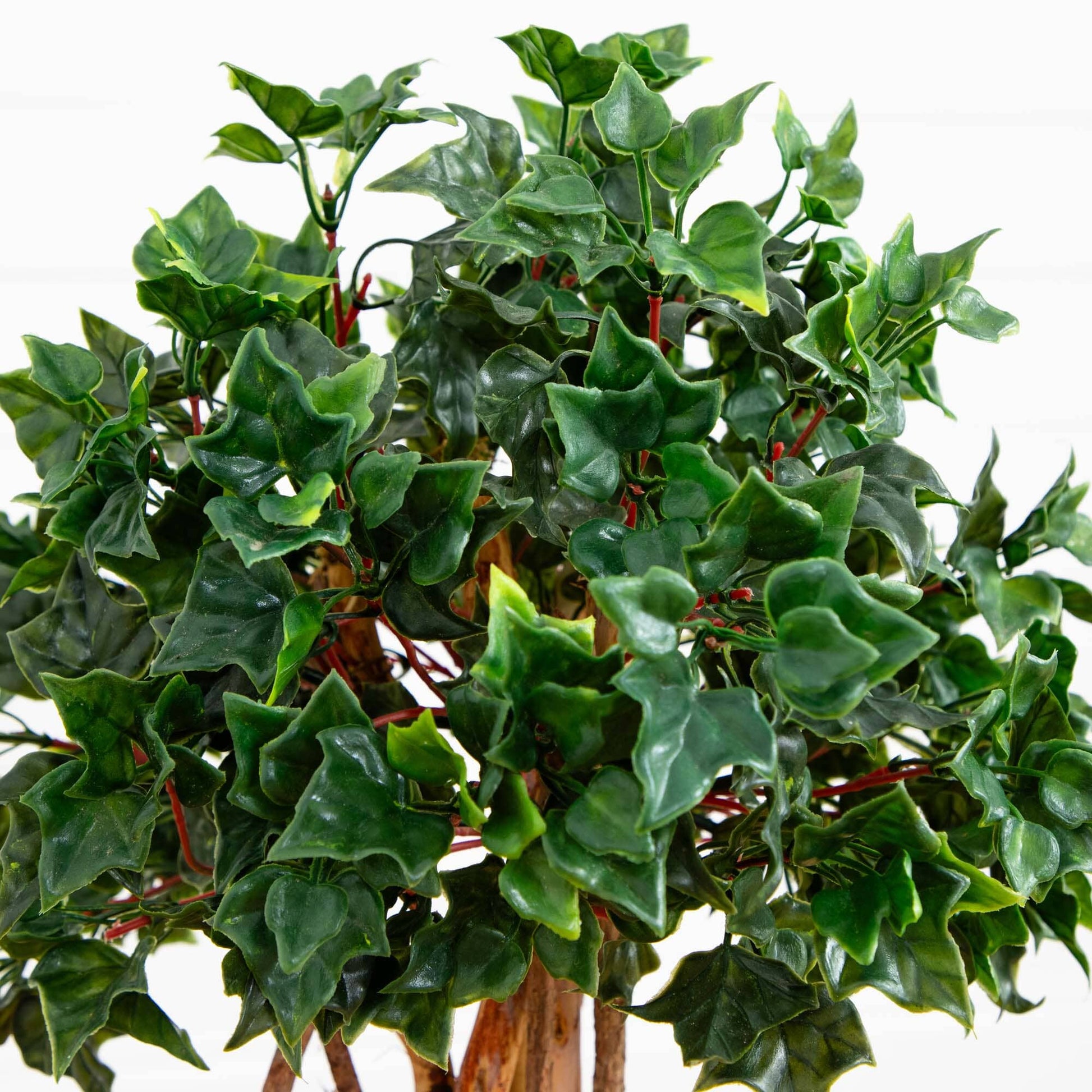 2.5’ English Ivy Topiary UV Resistant (Indoor/Outdoor) - Tampa Home & Garden Store