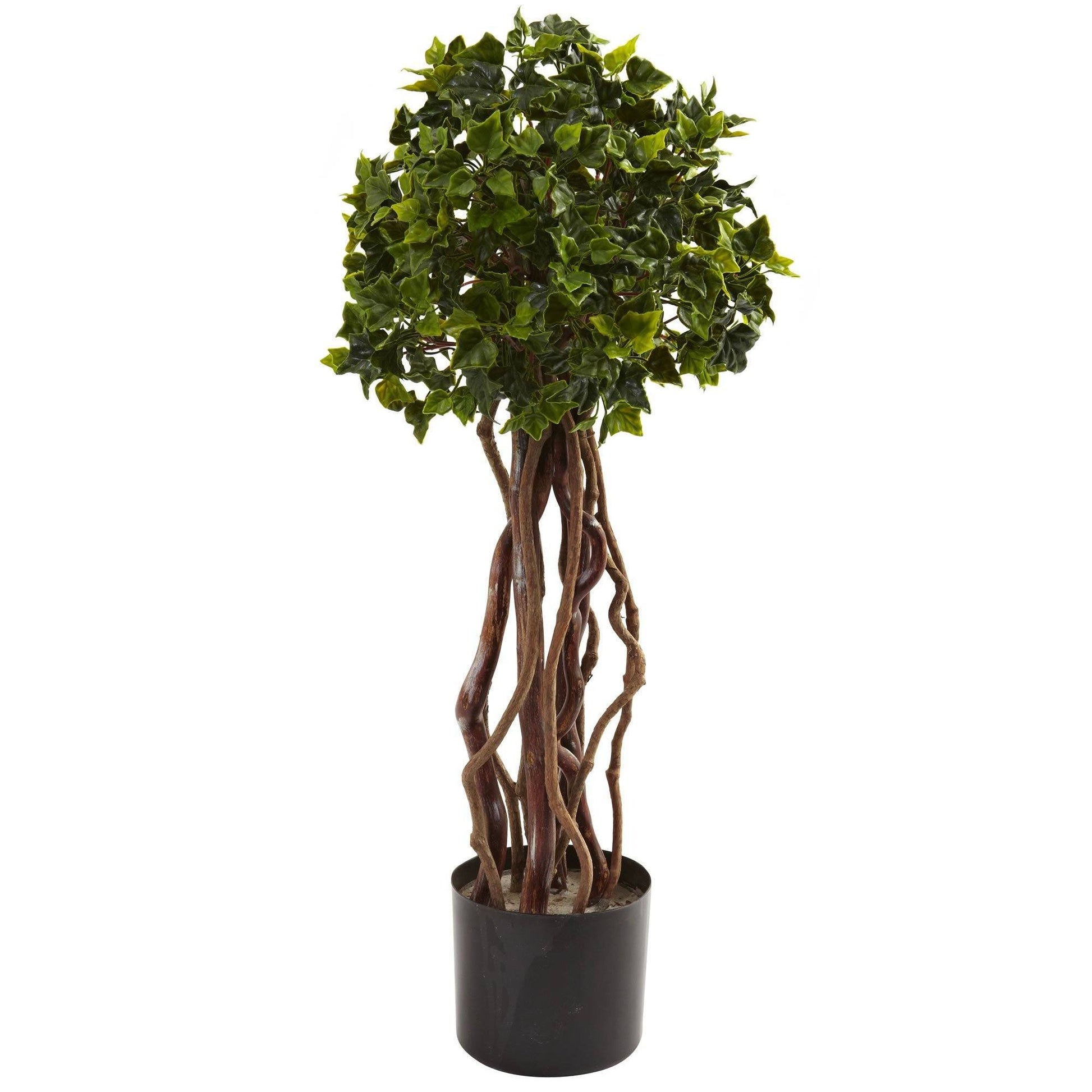 2.5’ English Ivy Topiary UV Resistant (Indoor/Outdoor) - Tampa Home & Garden Store