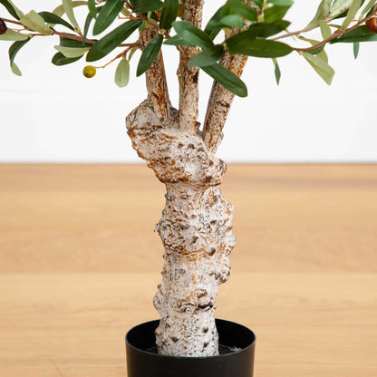 2.5' Olive Silk Tree - Tampa Home & Garden Store