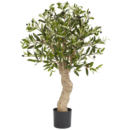 2.5' Olive Silk Tree - Tampa Home & Garden Store