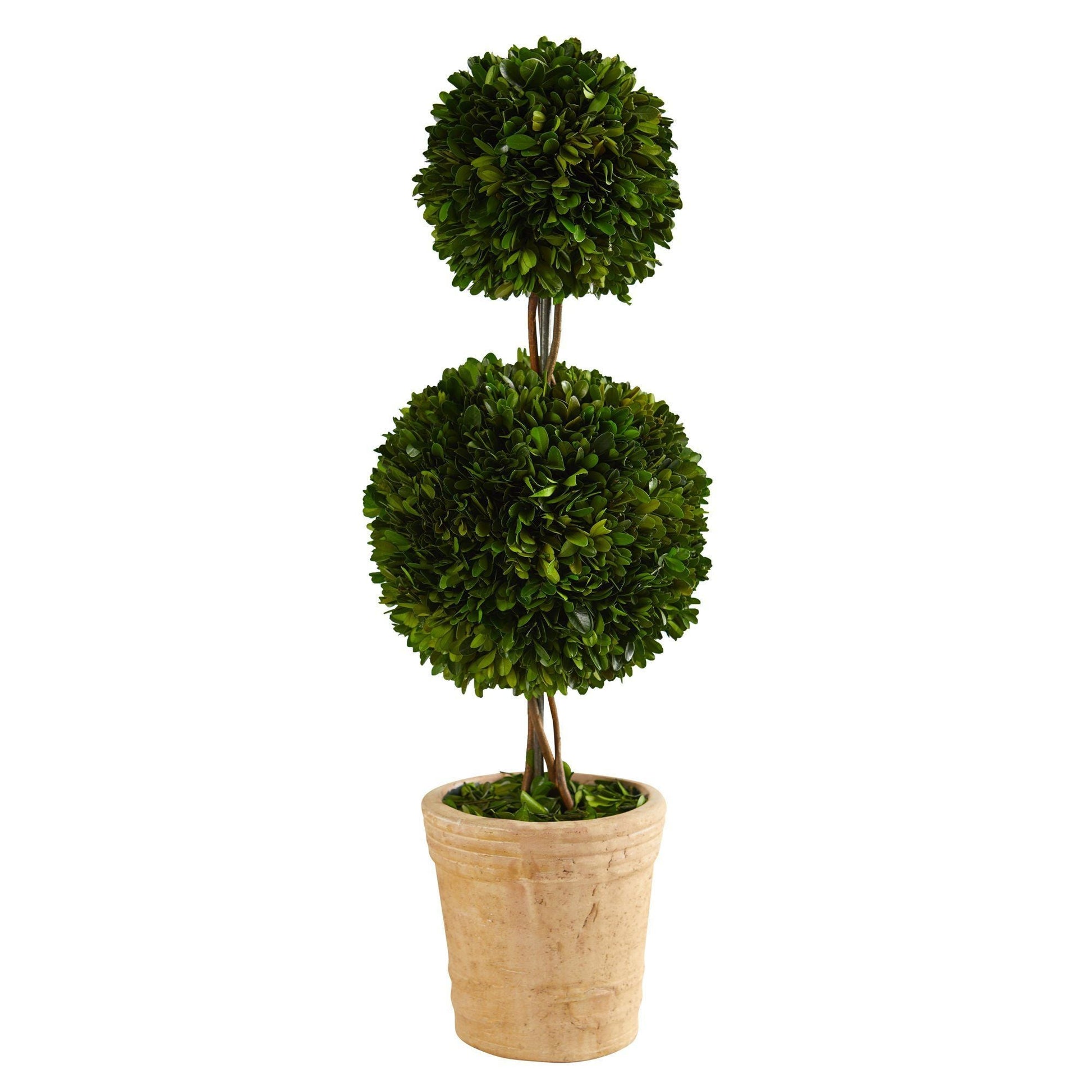 2.5’ Preserved Boxwood Double Ball Topiary Tree in Decorative Planter - Tampa Home & Garden Store