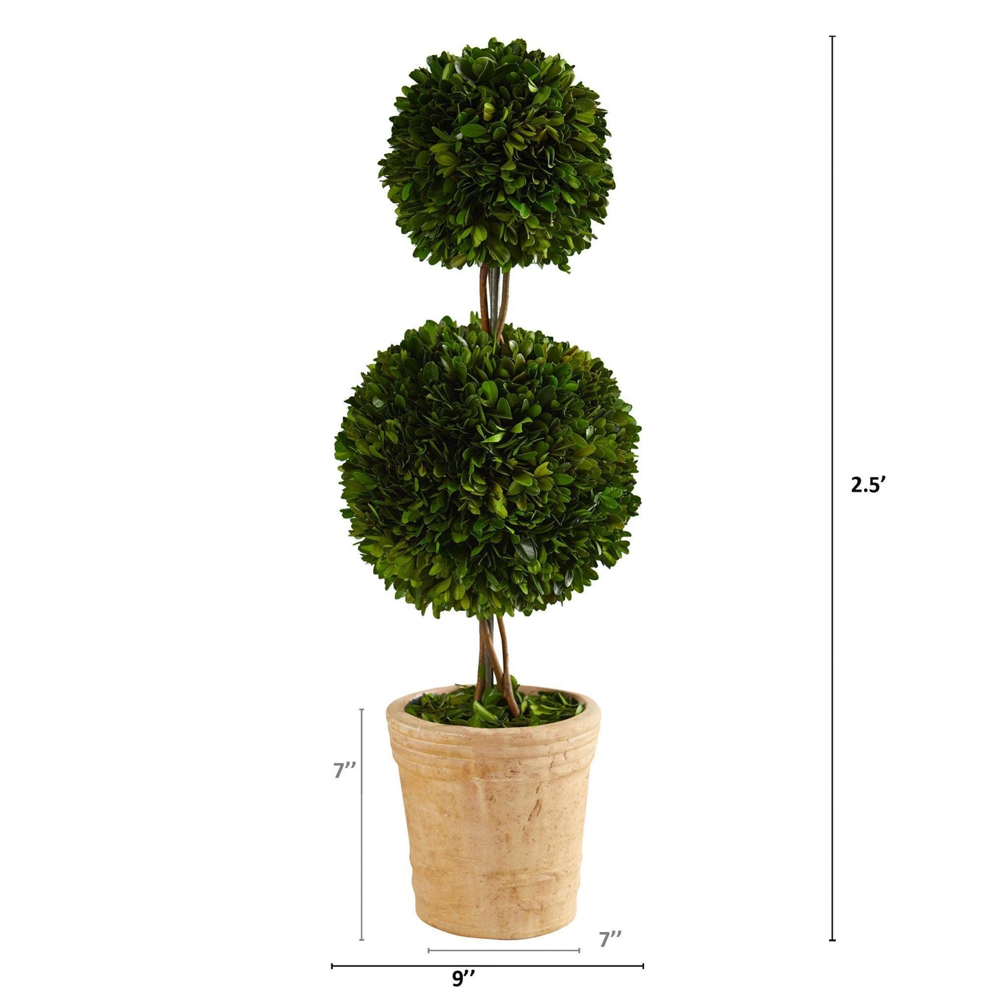 2.5’ Preserved Boxwood Double Ball Topiary Tree in Decorative Planter - Tampa Home & Garden Store