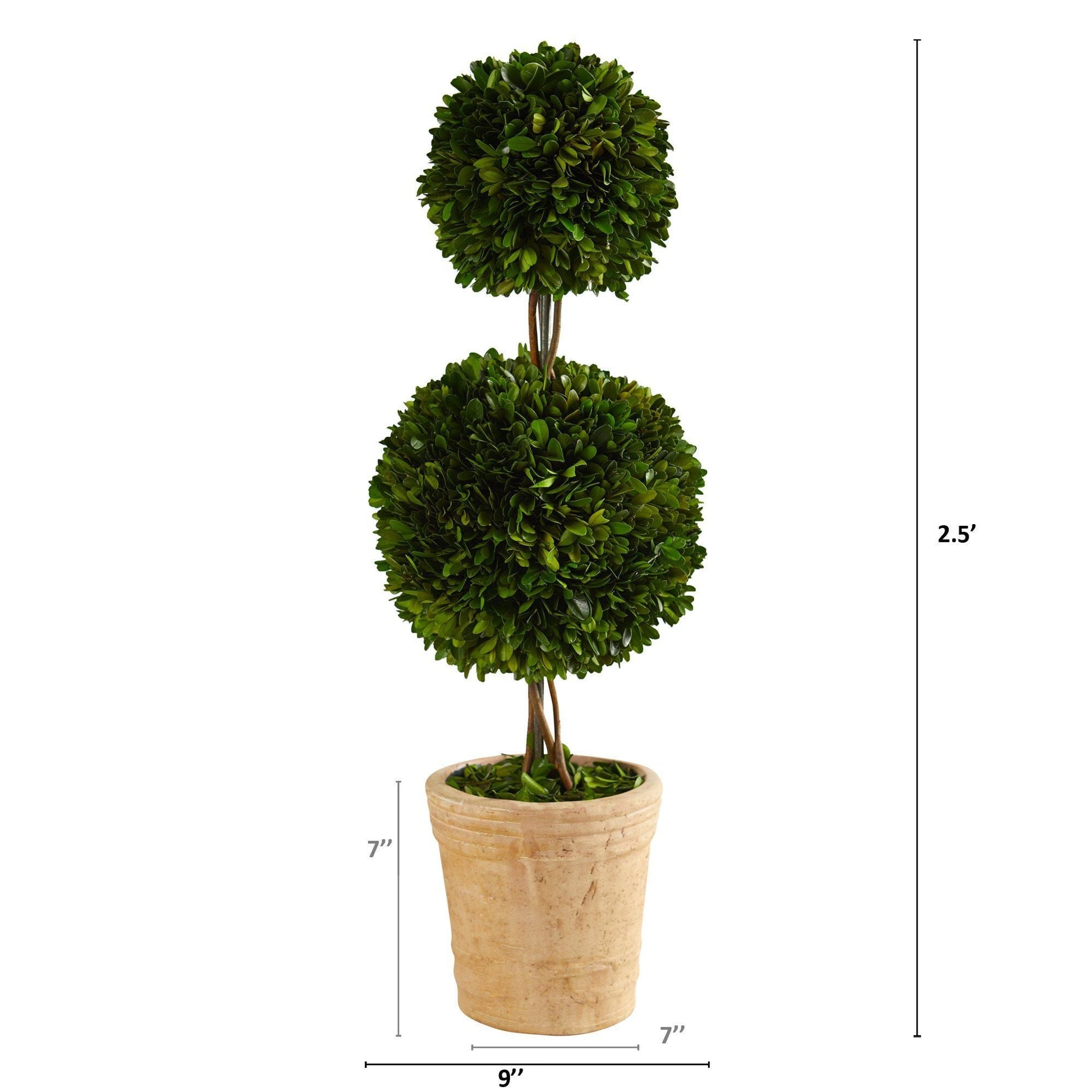 2.5’ Preserved Boxwood Double Ball Topiary Tree in Decorative Planter - Tampa Home & Garden Store