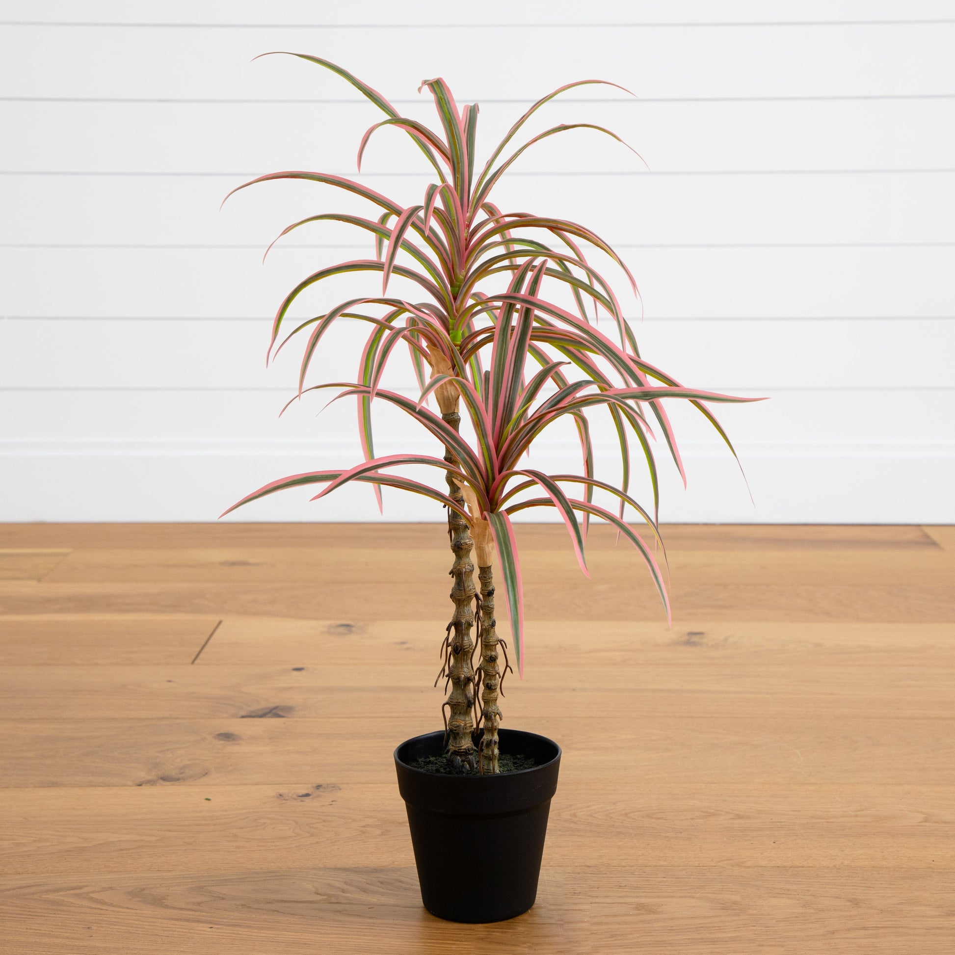2’ Artificial Dracaena Marginata Plant - Tampa Home & Garden Store
