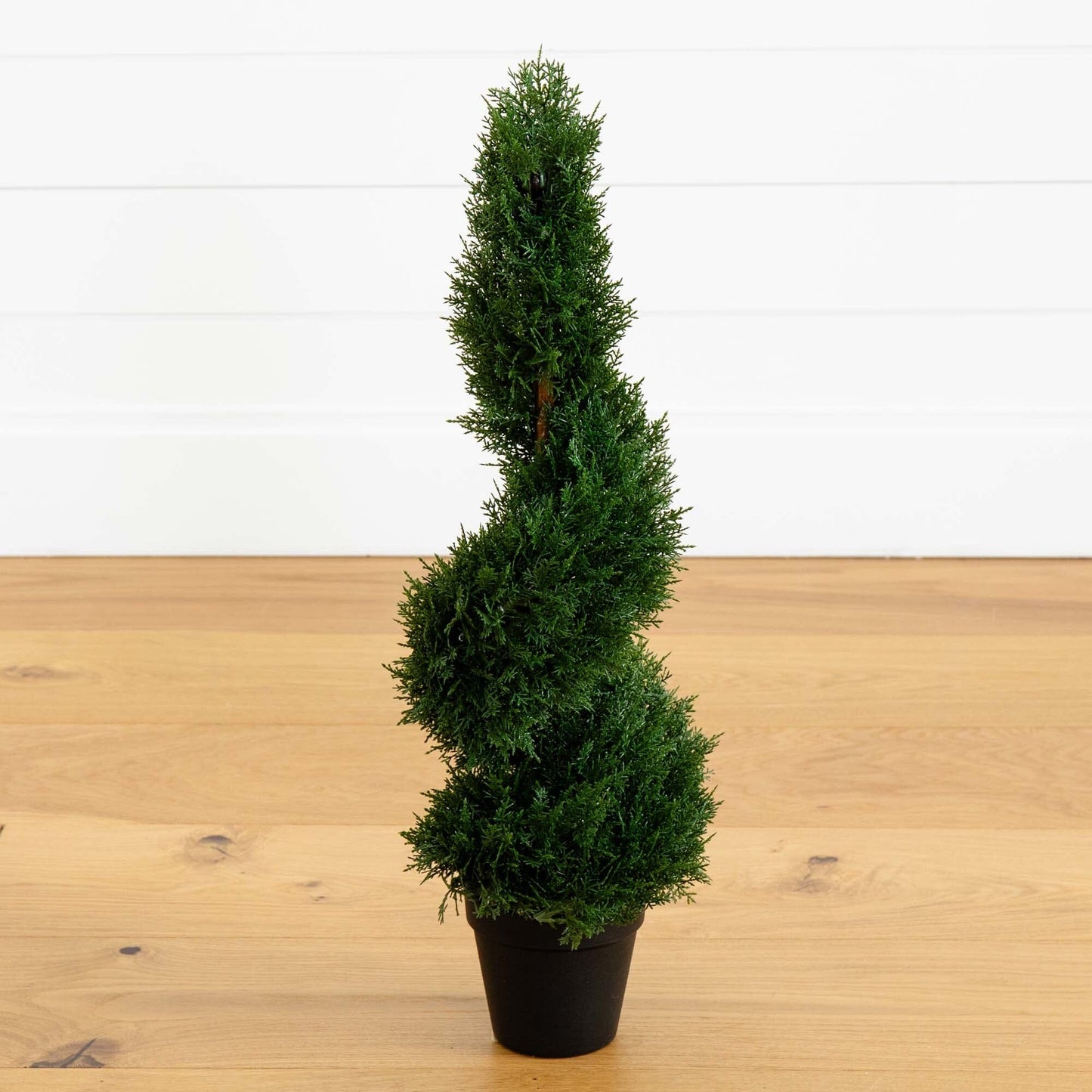 2' Cedar Spiral Silk Tree (In-door/Out-door) - Tampa Home & Garden Store