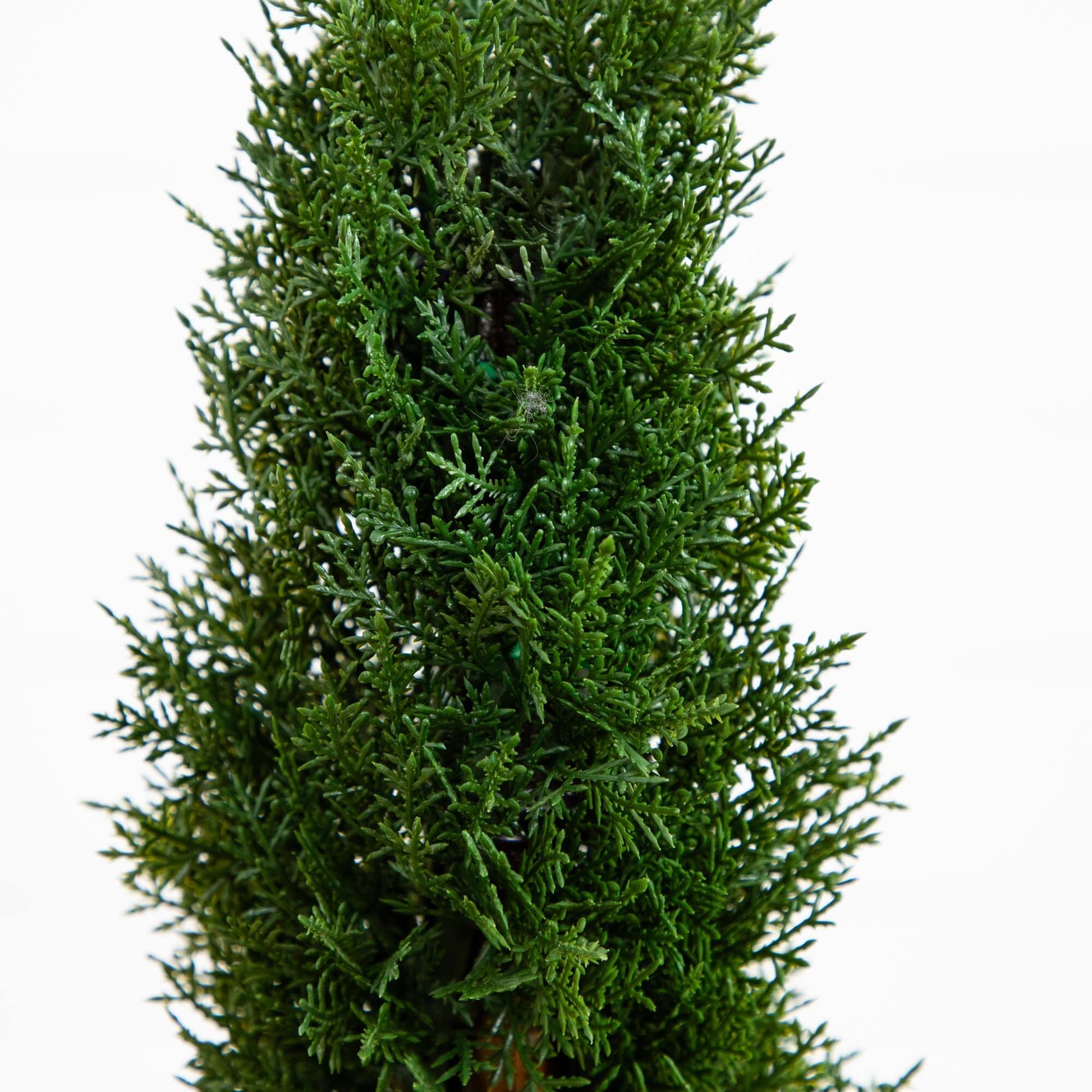 2' Cedar Spiral Silk Tree (In-door/Out-door) - Tampa Home & Garden Store