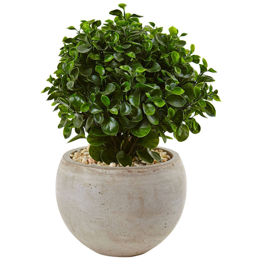 2’ Eucalyptus in Sand Colored Bowl UV Resistant (Indoor/Outdoor) - Tampa Home & Garden Store