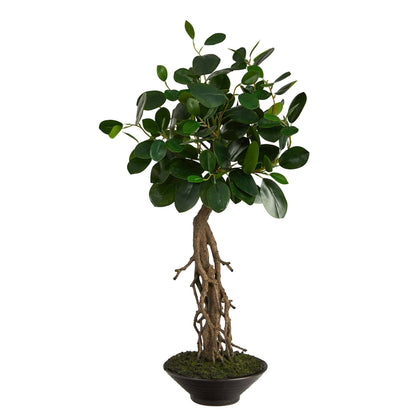 2’ Ficus Bonsai Artificial Tree in Decorative Planter - Tampa Home & Garden Store