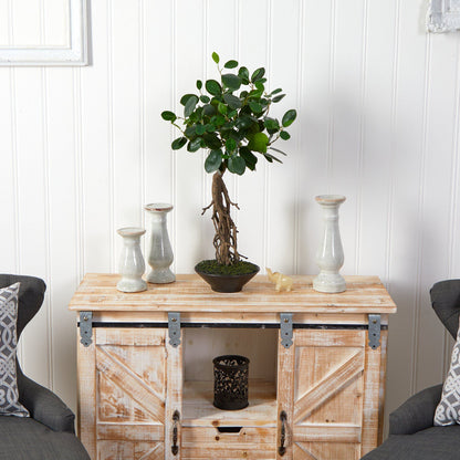 2’ Ficus Bonsai Artificial Tree in Decorative Planter - Tampa Home & Garden Store
