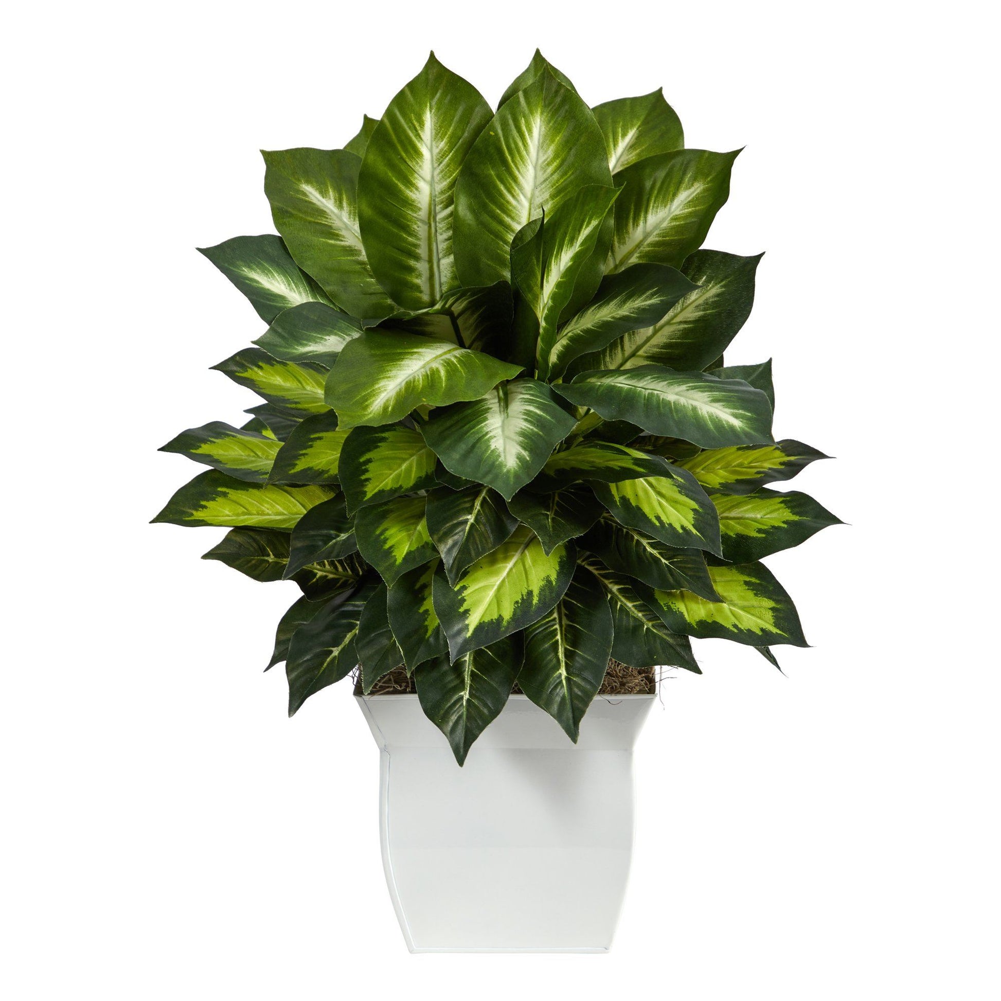 2’ Golden Dieffenbachia Artificial Plant in White Metal Planter - Tampa Home & Garden Store