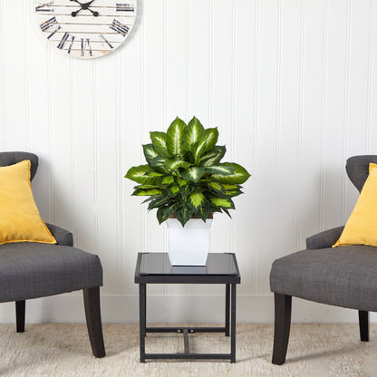 2’ Golden Dieffenbachia Artificial Plant in White Metal Planter - Tampa Home & Garden Store