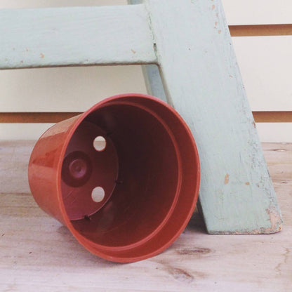 2" Growing Pot - Tampa Home & Garden Store