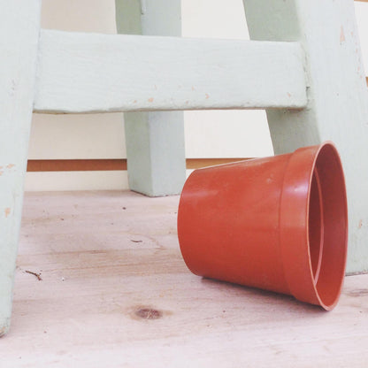 2" Growing Pot - Tampa Home & Garden Store