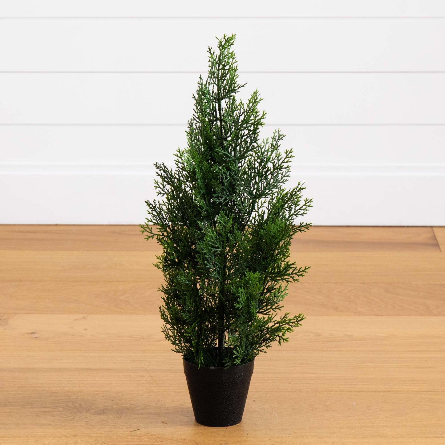 2’ Mini Cedar Pine Tree (Indoor/Outdoor) - Tampa Home & Garden Store
