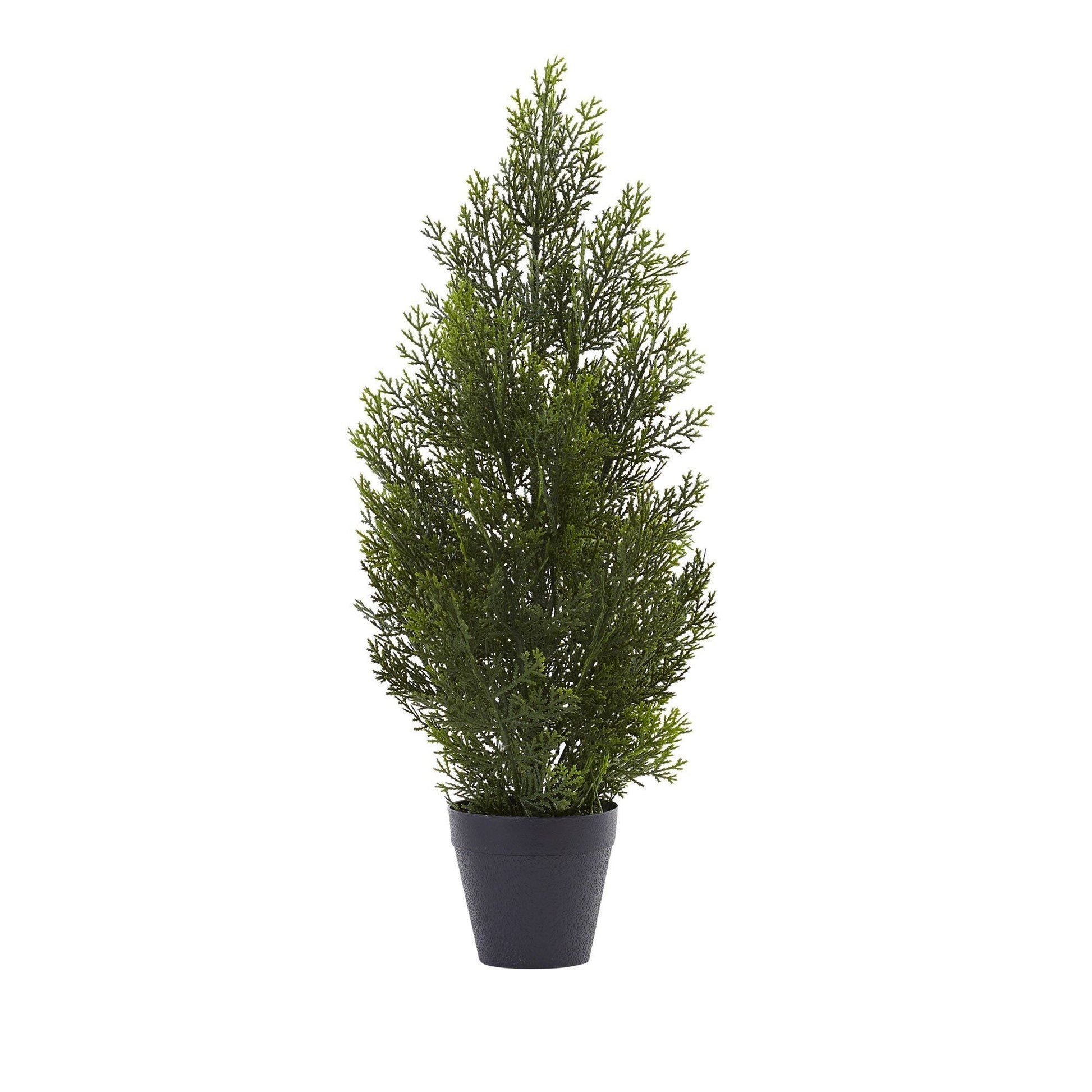 2’ Mini Cedar Pine Tree (Indoor/Outdoor) - Tampa Home & Garden Store