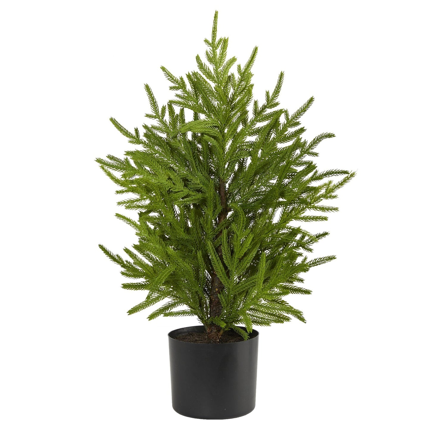 2’ Norfolk Island Pine “Natural Look” Artificial Christmas Tree in Decorative Planter - Tampa Home & Garden Store
