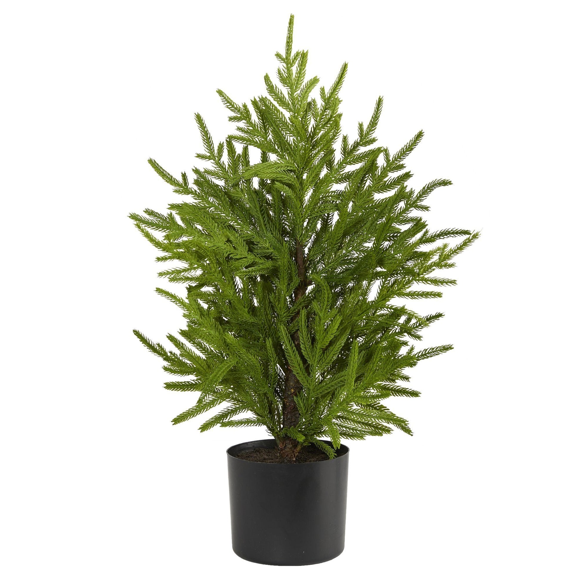 2’ Norfolk Island Pine “Natural Look” Artificial Christmas Tree in Decorative Planter - Tampa Home & Garden Store