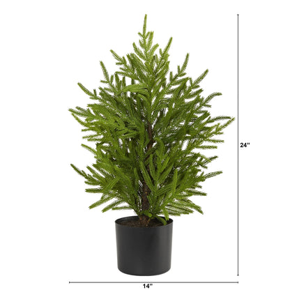2’ Norfolk Island Pine “Natural Look” Artificial Christmas Tree in Decorative Planter - Tampa Home & Garden Store