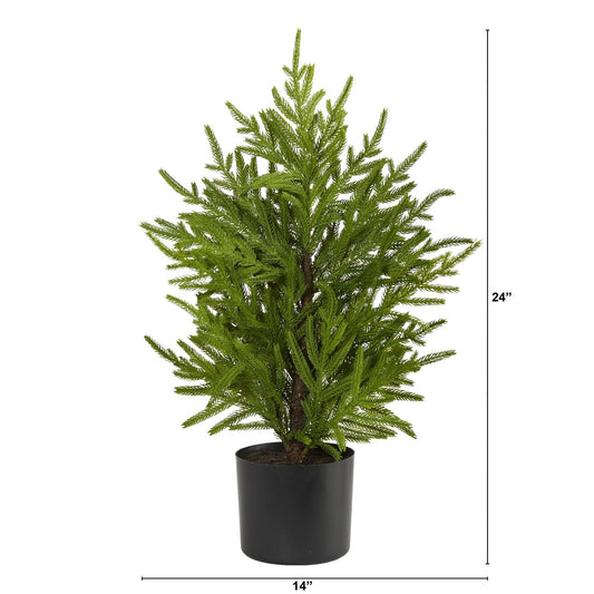 2’ Norfolk Island Pine “Natural Look” Artificial Christmas Tree in Decorative Planter - Tampa Home & Garden Store