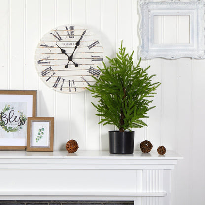 2’ Norfolk Island Pine “Natural Look” Artificial Christmas Tree in Decorative Planter - Tampa Home & Garden Store