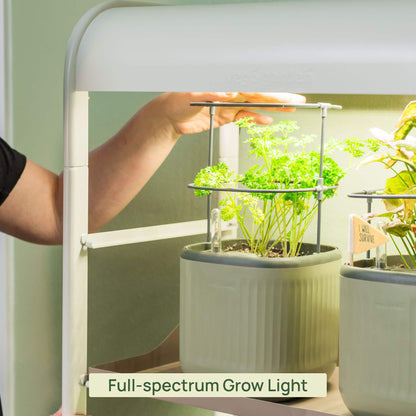 2 Tier Grow Light Garden - Tampa Home & Garden Store