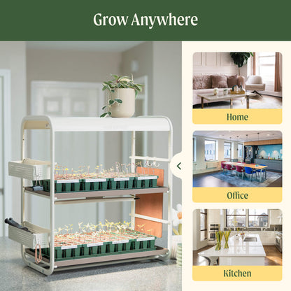 2 Tier Tabletop Grow Light Garden - Tampa Home & Garden Store