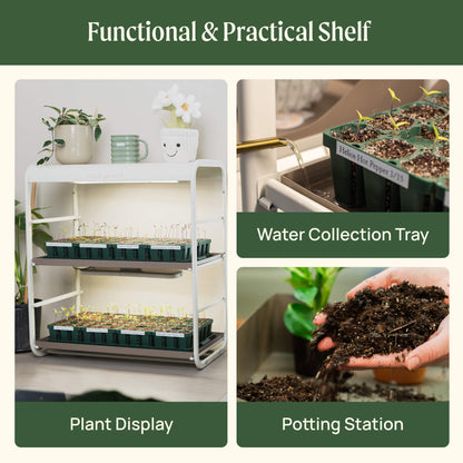 2 Tier Tabletop Grow Light Garden - Tampa Home & Garden Store