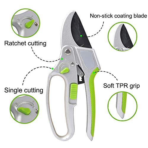 2-in-1 Garden Ratchet Pruning Shears Clippers - Tampa Home & Garden Store