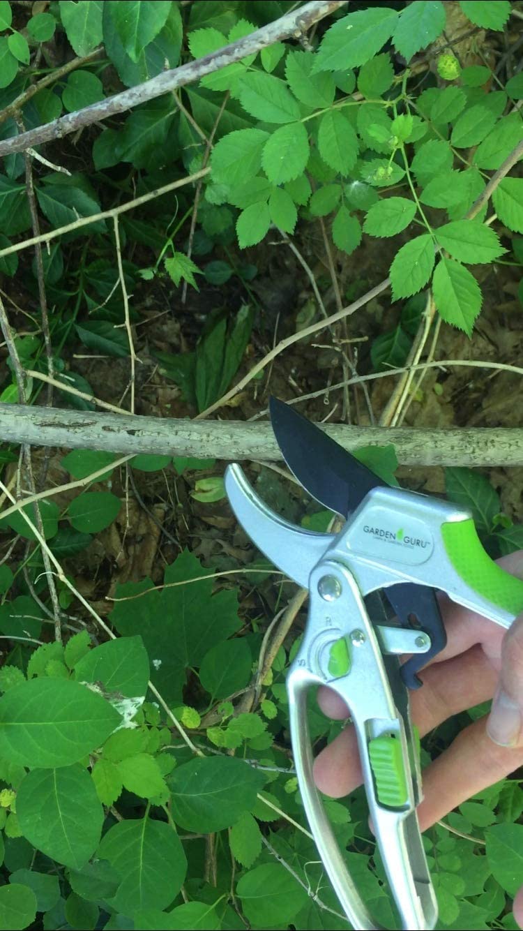 2-in-1 Garden Ratchet Pruning Shears Clippers - Tampa Home & Garden Store