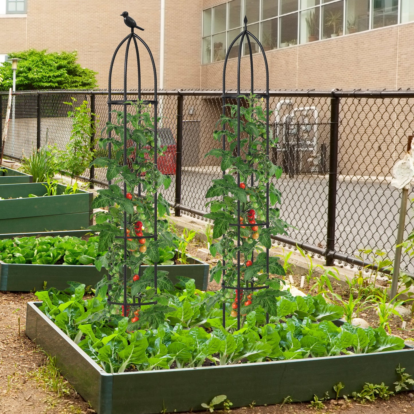 2-Pack Garden Obelisk Trellis for Climbing Plants-Black
