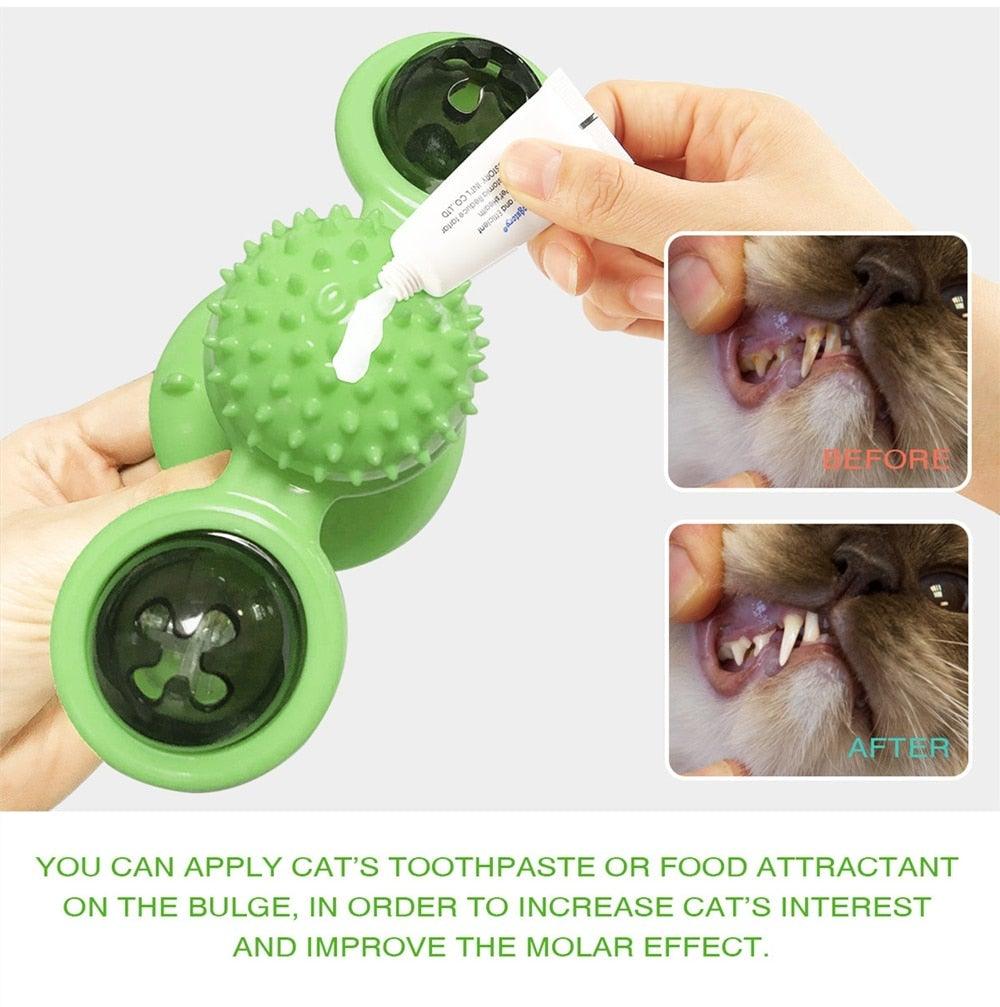 Stevvex 2-pack green rotating windmill cat toy with suction cups and spiky massage brush on Tampa Home & Garden Store