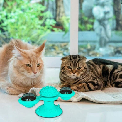 Stevvex turquoise 2-piece interactive cat toy set with spiky massage ball and suction cup bases on Tampa Home & Garden Store