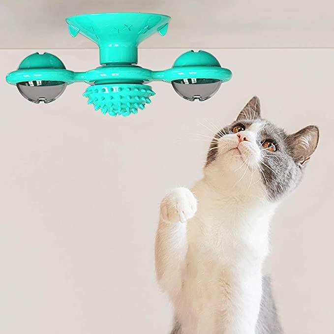 Stevvex 2-piece interactive cat toy windmill with rotating brush, turquoise, dual suction cups on Tampa Home & Garden Store